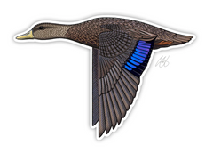 Black Duck Decal Sticker