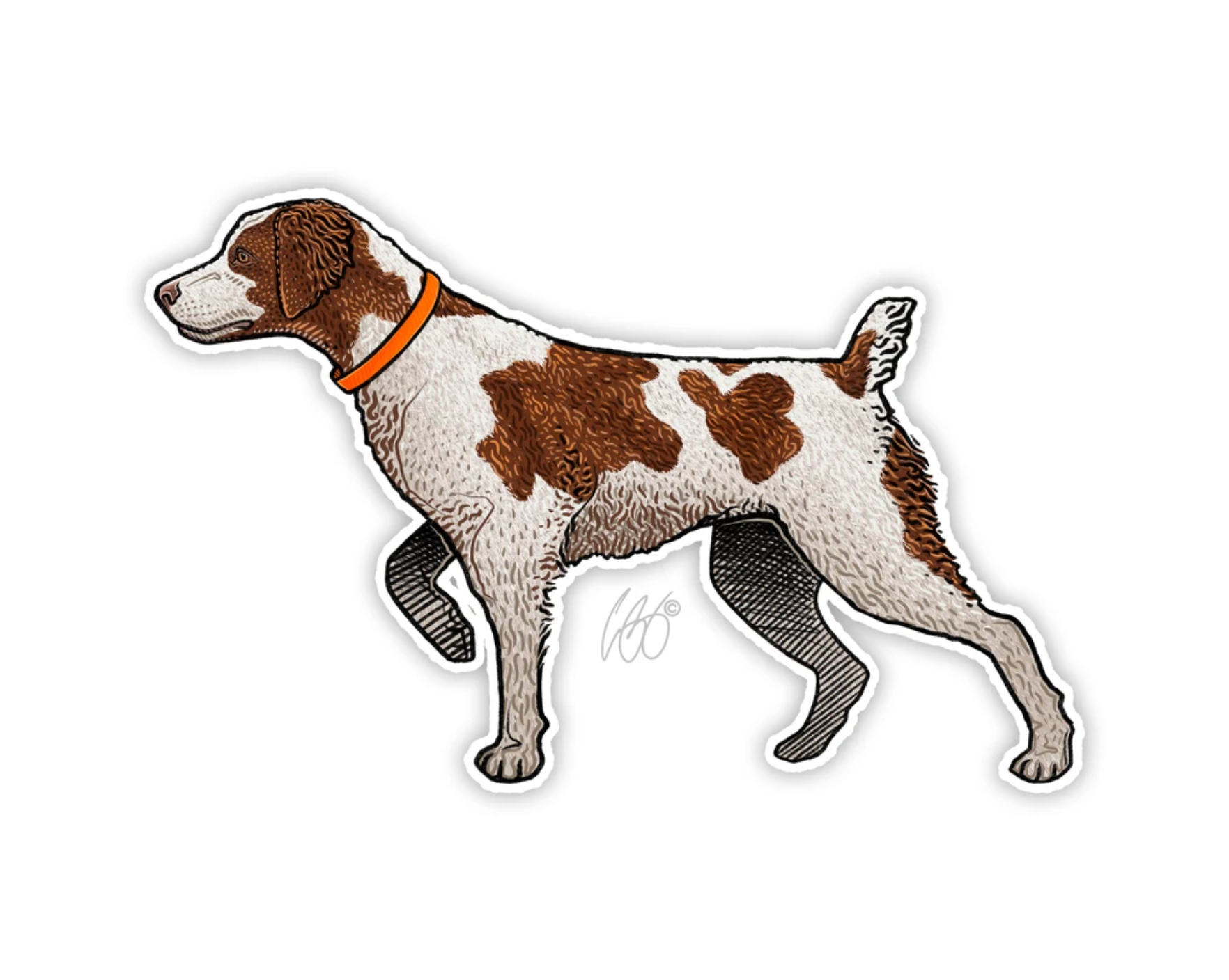 Brittany Spaniel Gifts Bird Dog of the Day