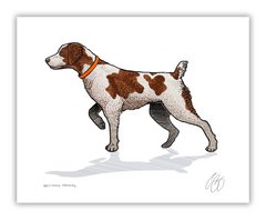 Brittany Print