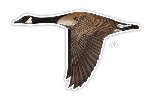 Canada Goose Decal Sticker