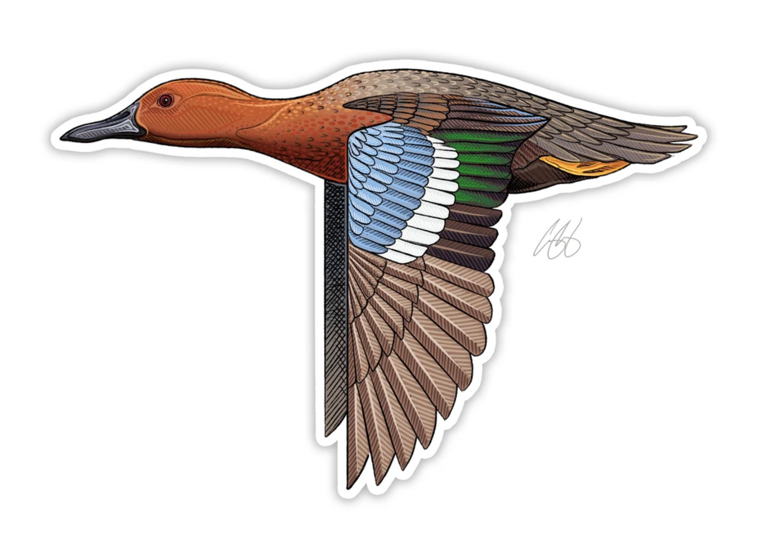 Cinnamon Teal Decal Sticker