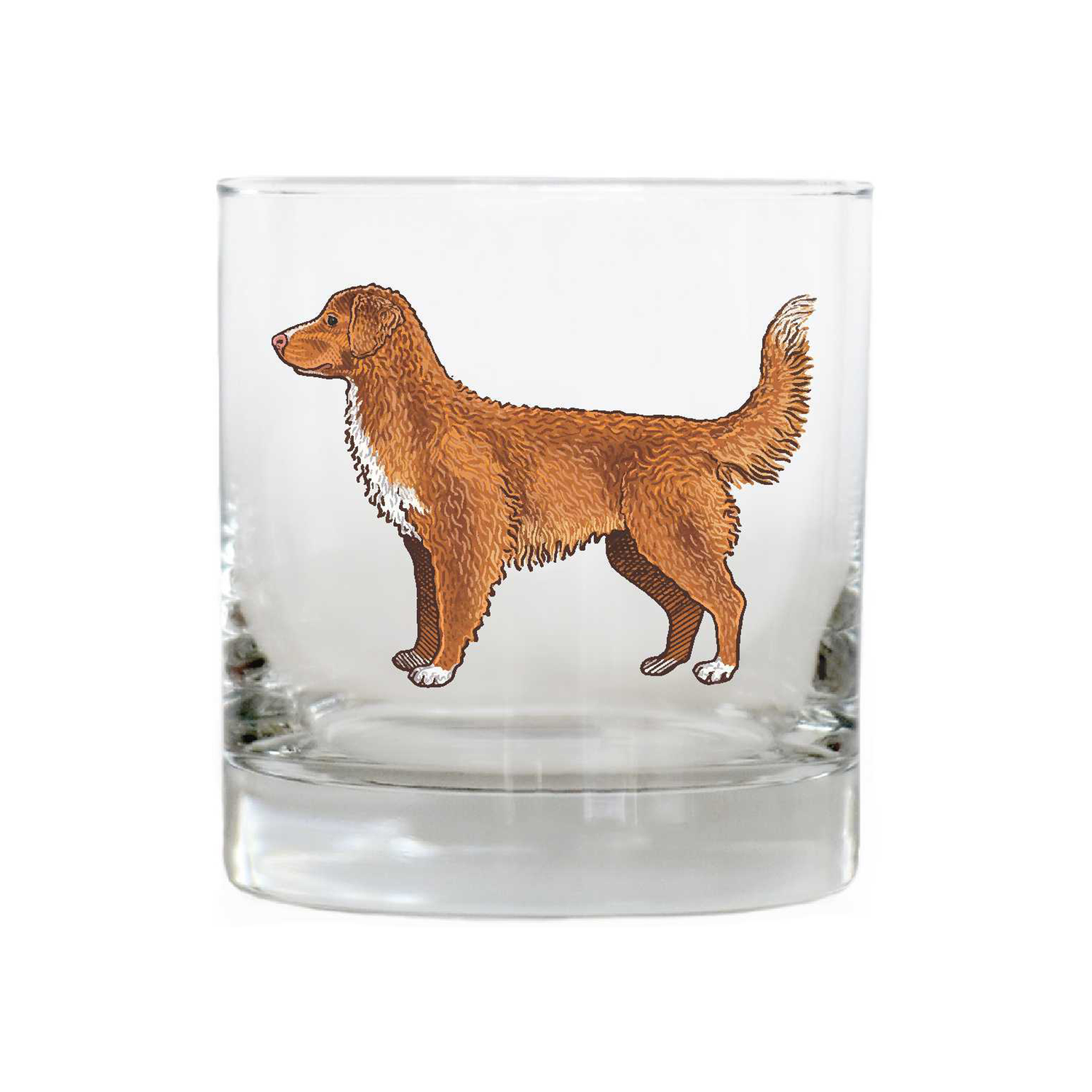 Nova Scotia Duck Tolling Retriever Whiskey Glass