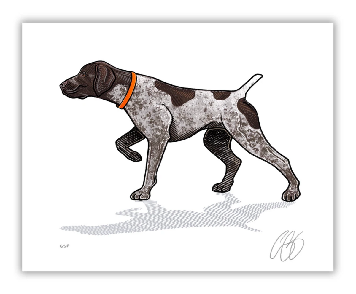 German Shorthaired Pointer Print | Bird Dog of the Day