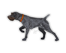 Load image into Gallery viewer, German Wirehaired Pointer Decal Sticker
