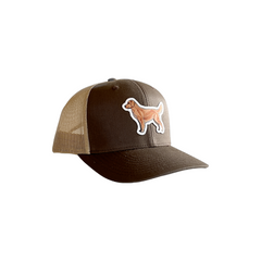Golden Retriever Hat