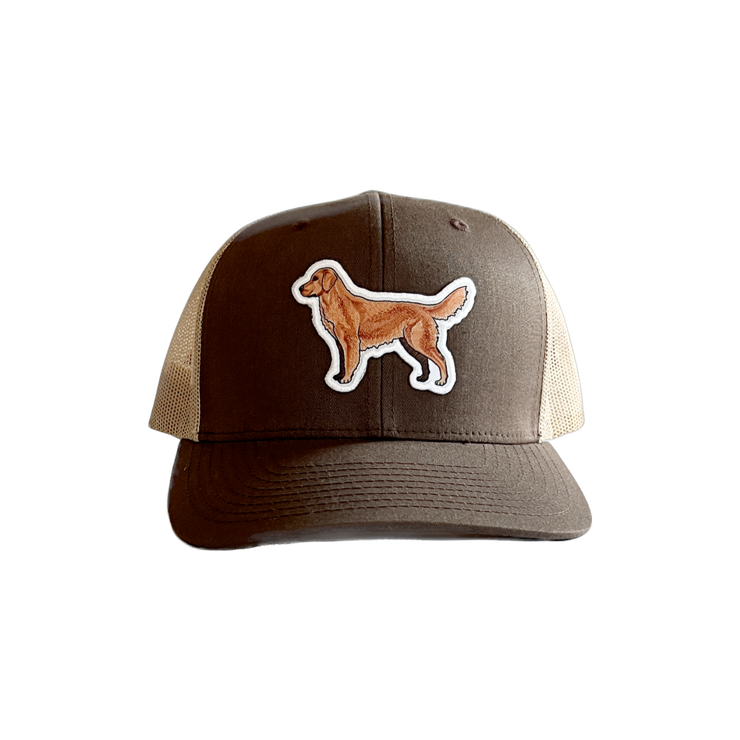 Golden Retriever Hat Bird Dog of the Day - Main Image