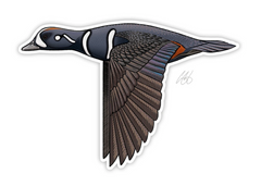 Harlequin Decal Sticker