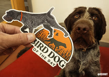 Load image into Gallery viewer, Bird Dog of the Day Logo Decal Sticker with a dog looking at it
