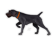 Deutsch-Drahthaar Decal Sticker