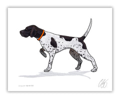 English Pointer Print