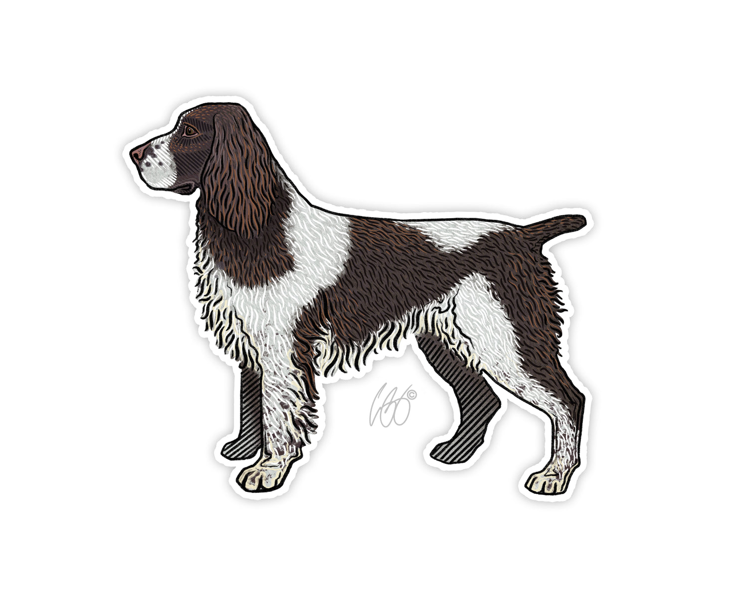 English Springer Spaniel Decal Sticker