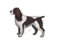 English Springer Spaniel Decal Sticker