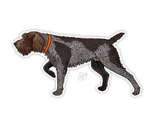 Load image into Gallery viewer, Wirehaired Pointing Griffon Decal Sticker
