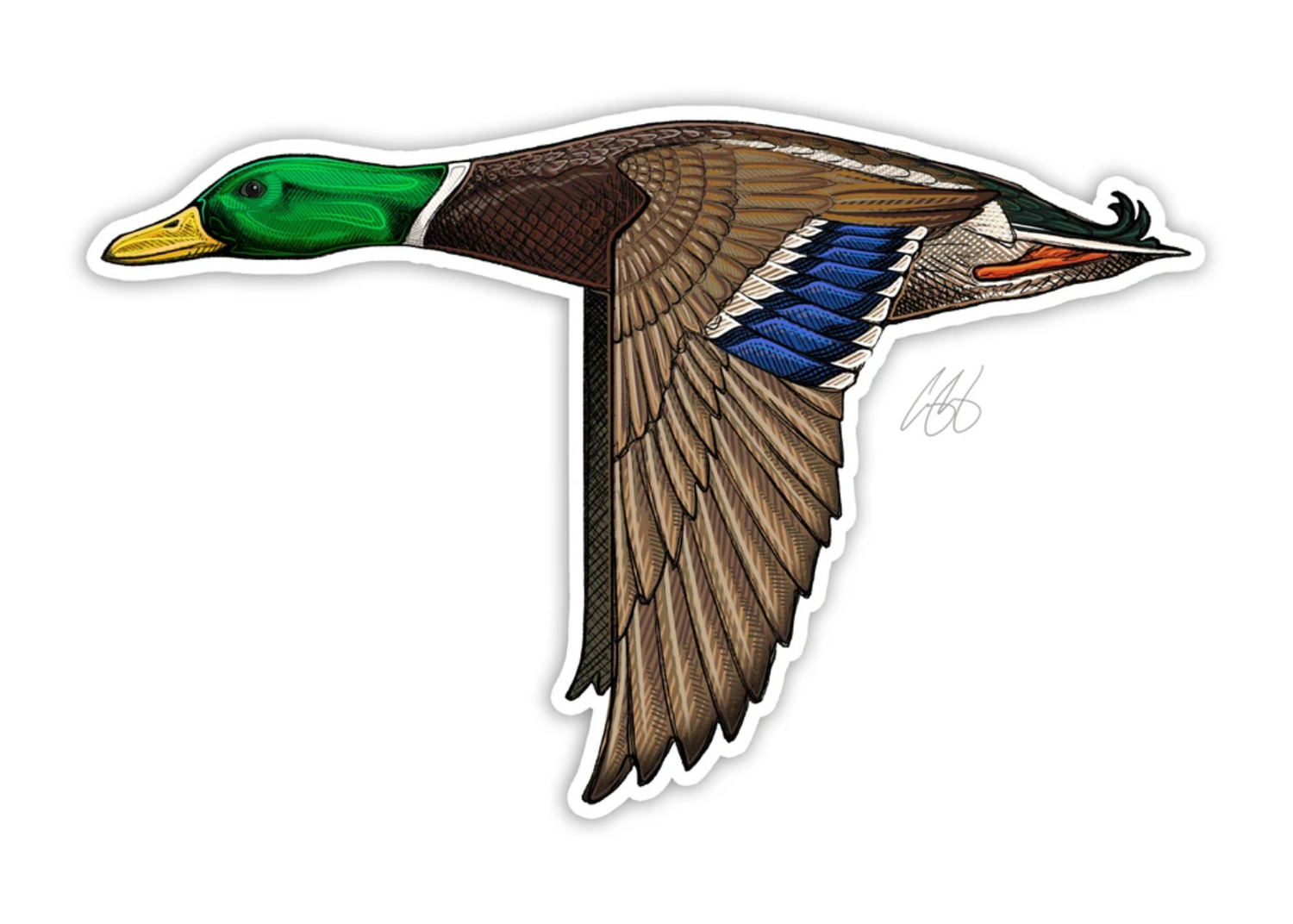 Mallard Decal Sticker
