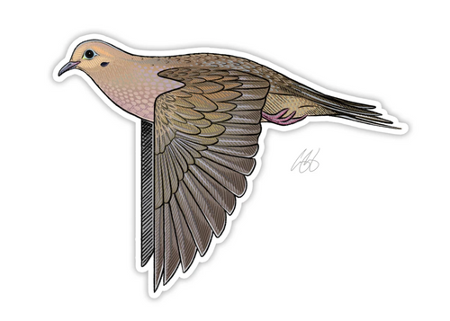 Mourning Dove Decal Sticker