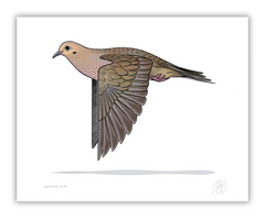 Mourning Dove Print