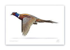 Pheasant Print