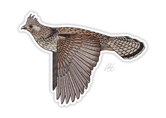 Ruffed Grouse Decal Sticker